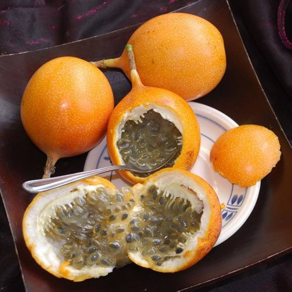 Malaysian Passion Fruit Layered Live Plant