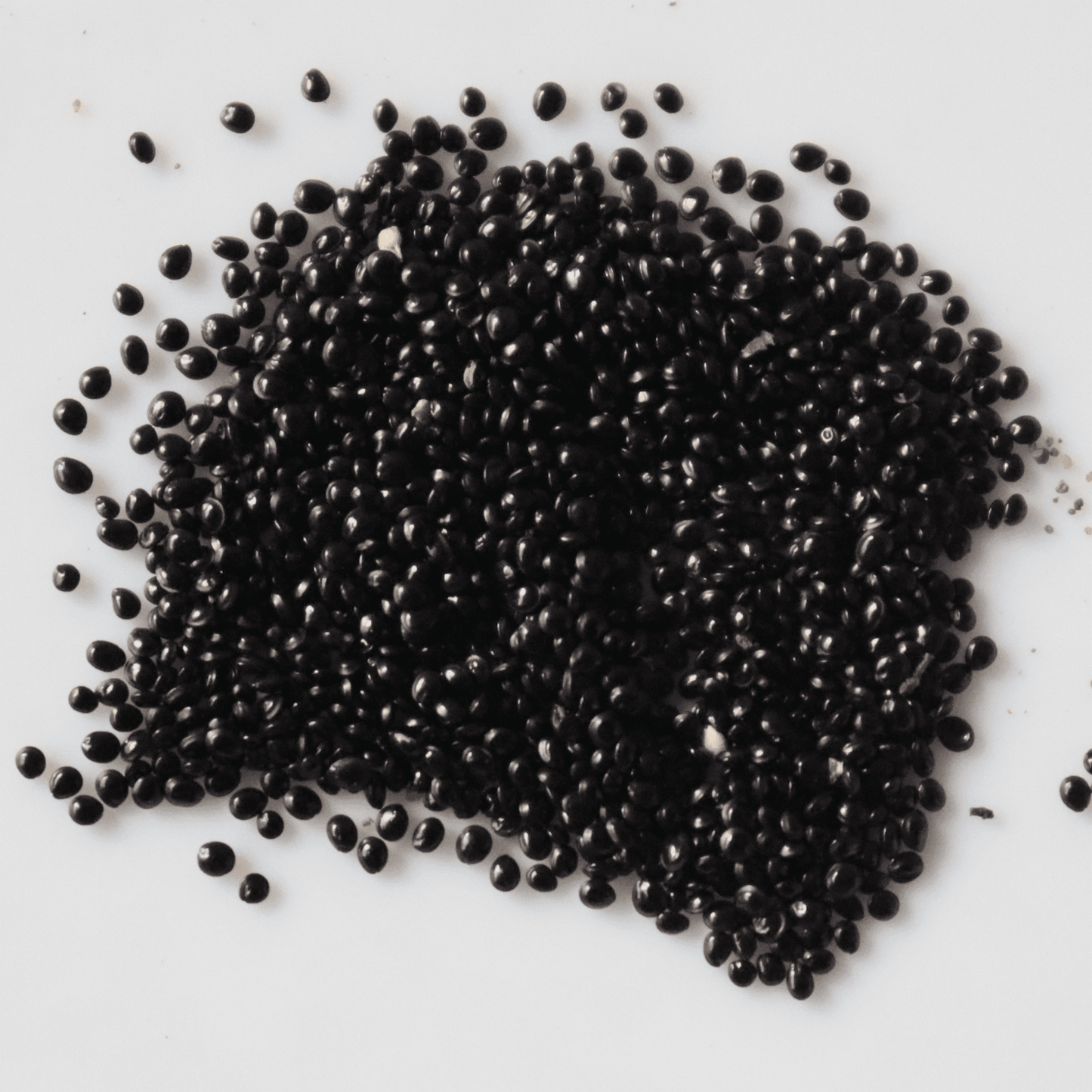 Organic Red Amaranthus Seeds - Open Pollinated