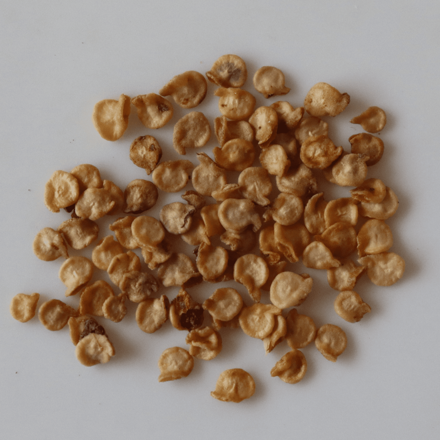 Organic Mali Chilli Seeds - Open Pollinated