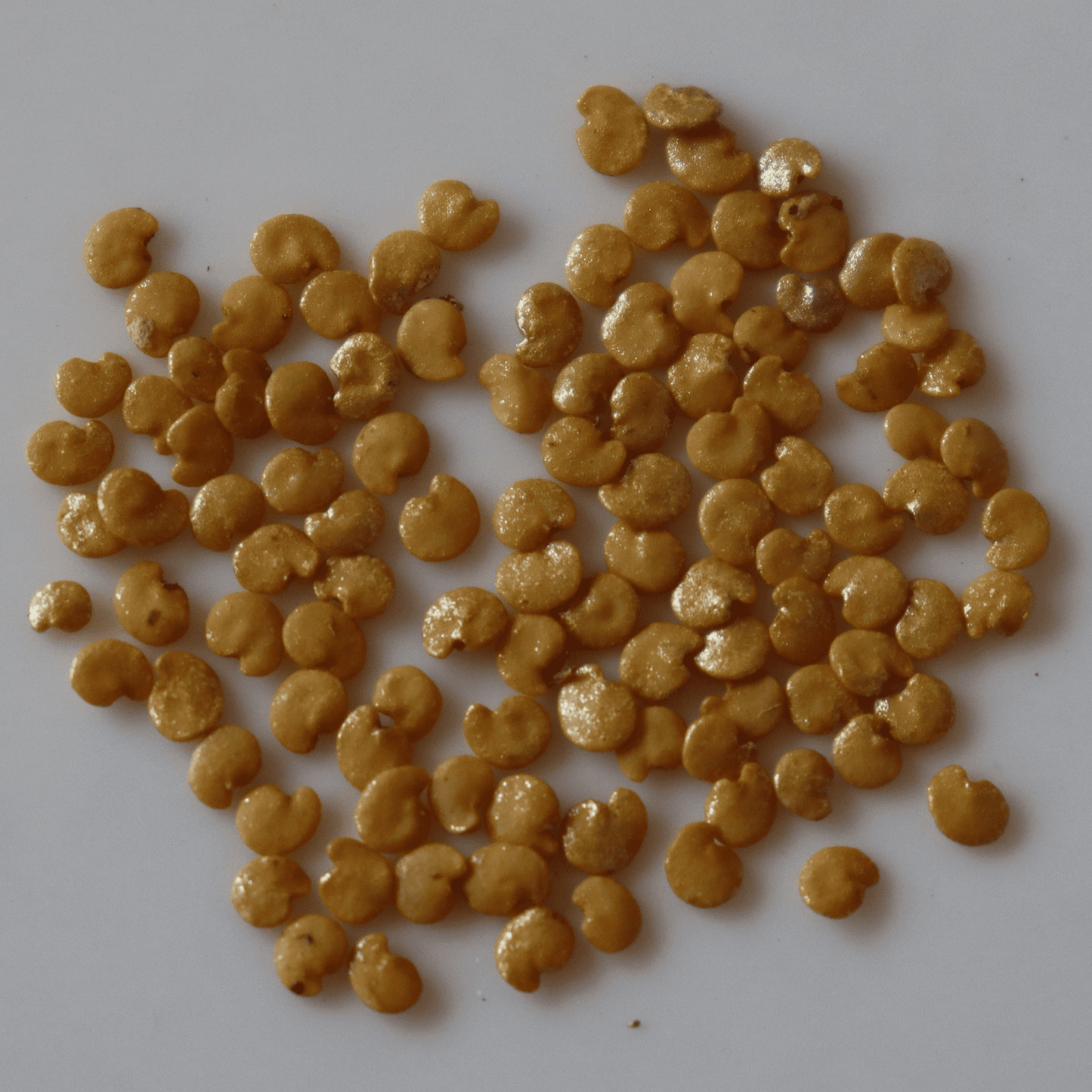 Organic Brinjal / Manaparai Brinjal Seeds