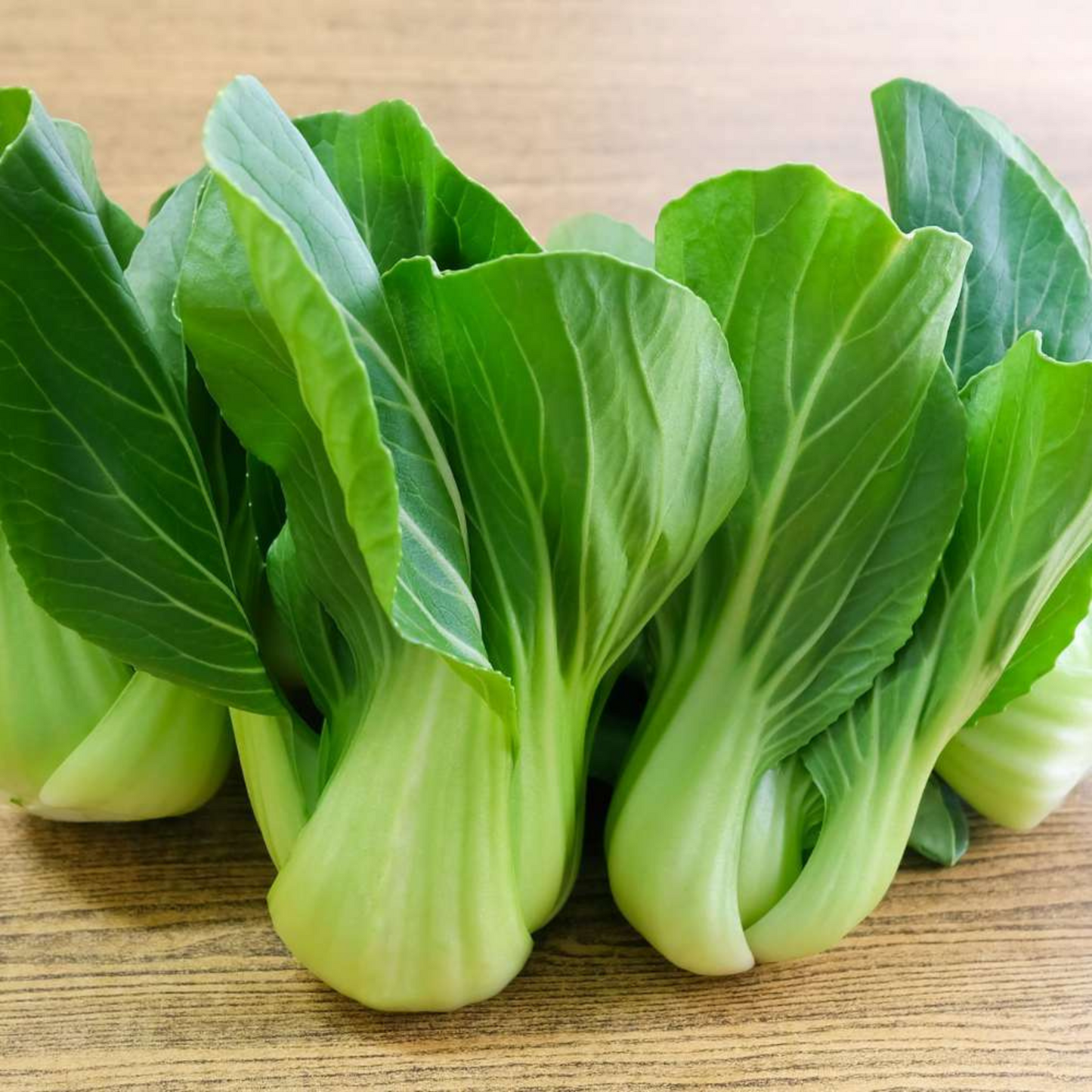Organic Pak Choi (पाक चोई के बीज) Seeds - Open Pollinated