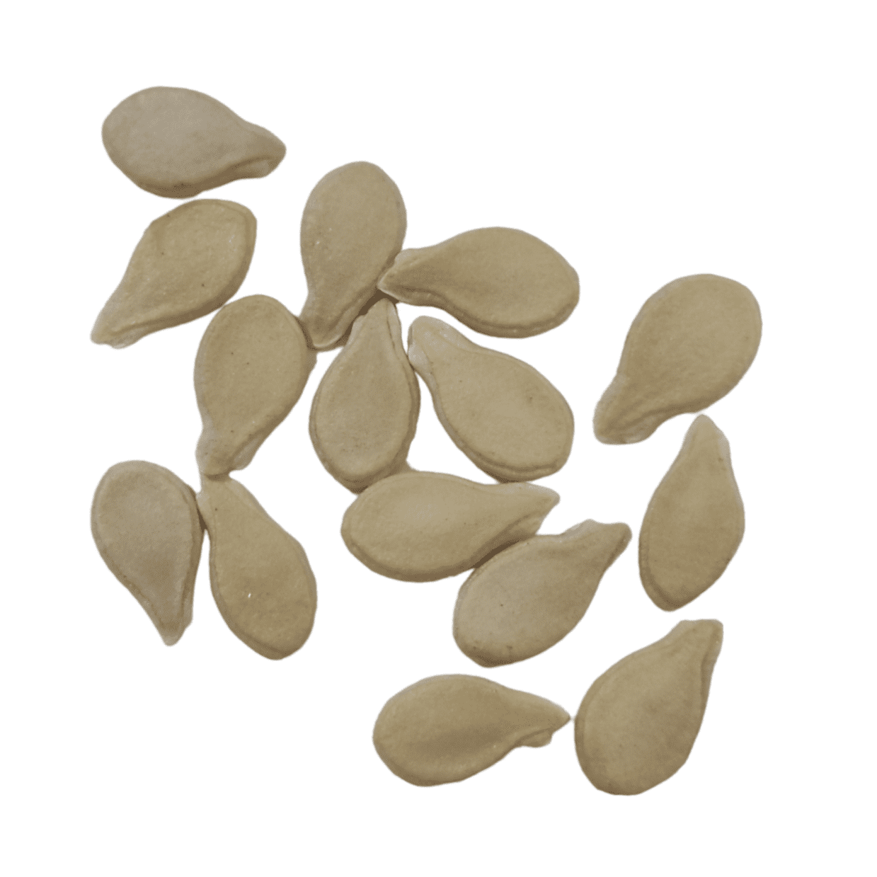 Organic Winter Melon / Medicinal Ash Gourd / Nei Kumbalanga Seeds - Open Pollinated