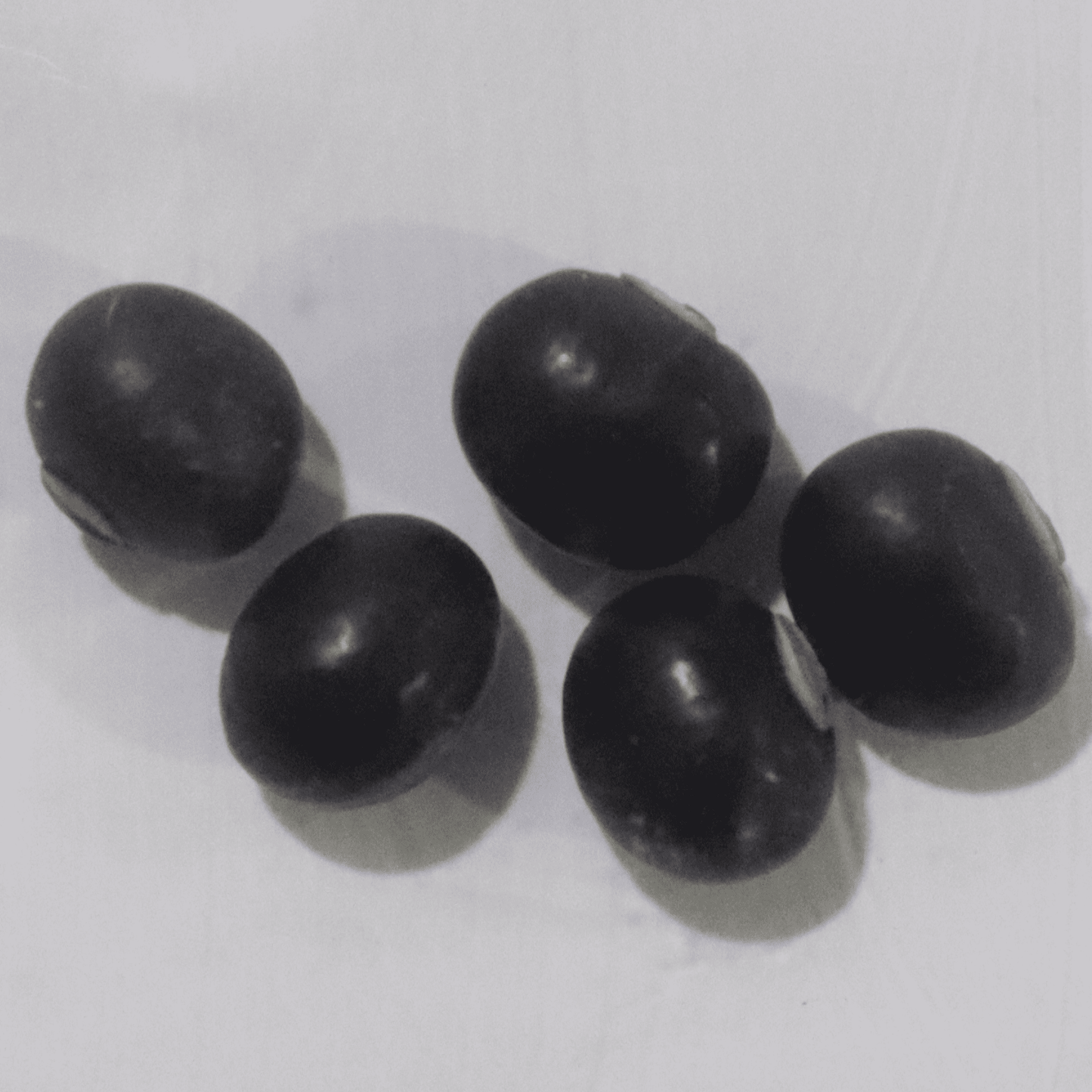 Organic Purple Winged Beans Seeds - Open Pollinated