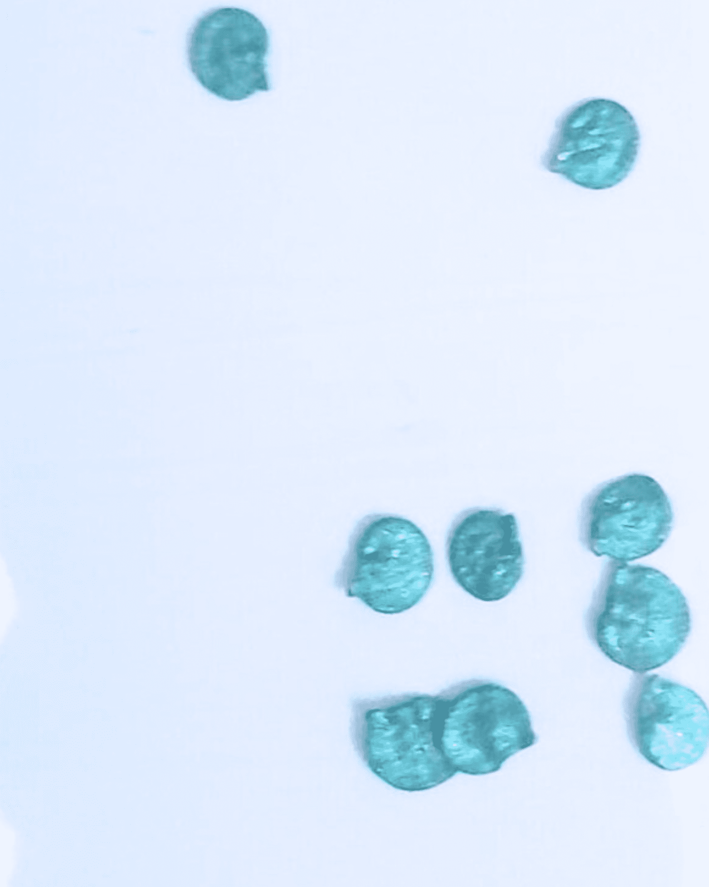 Yellow Capsicum Seeds