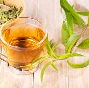 Lemon Verbena Spice/ Medicinal Live Plant