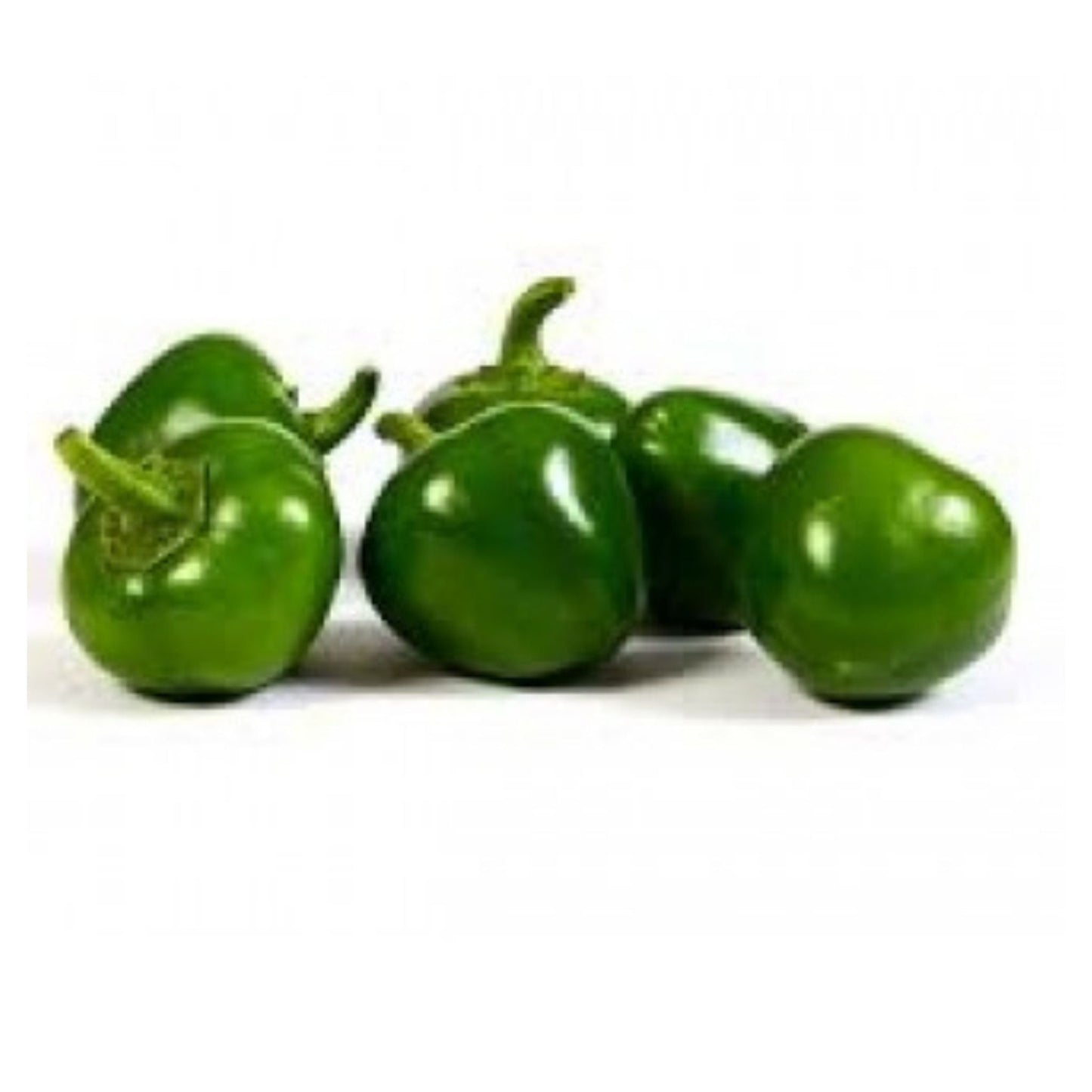 Organic Round Ball Chilli Seeds - Open Pollinated
