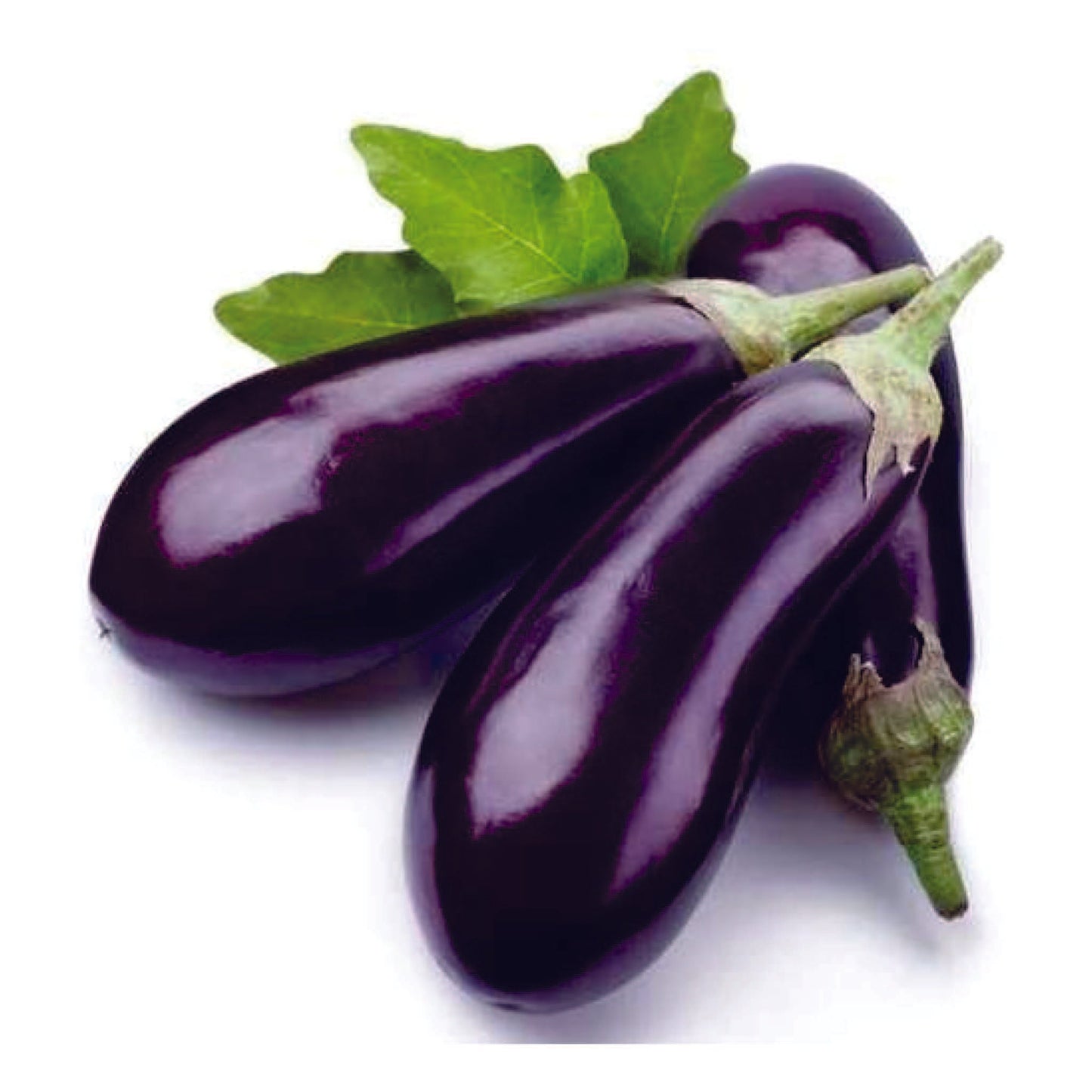 Organic Violet Brinjal Seeds - Open Pollinated