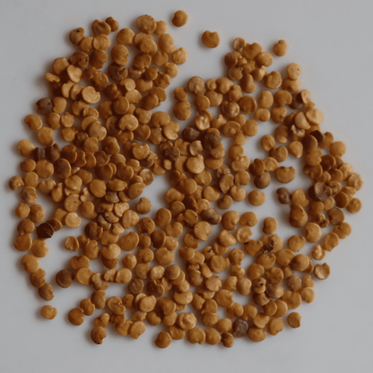 Organic White Long Brinjal Seeds - Open Pollinated