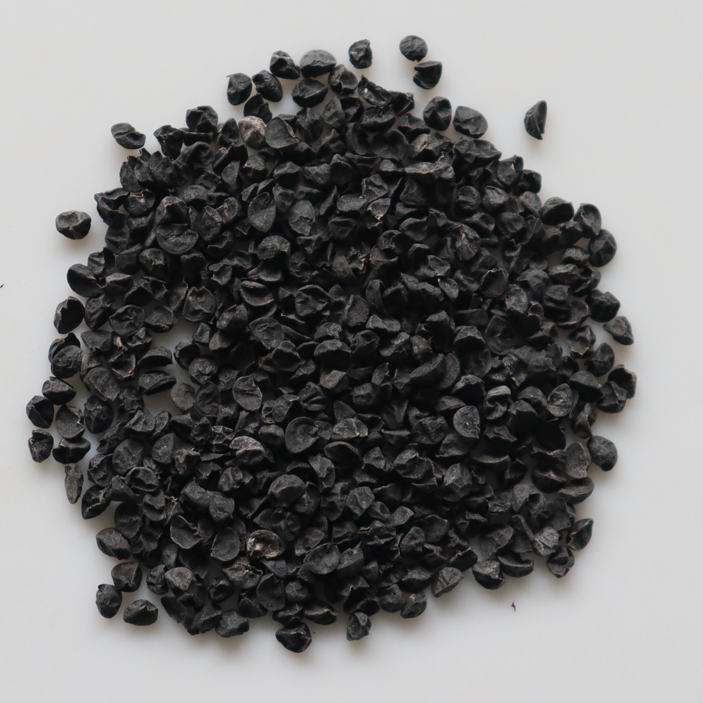 Organic Onion Seeds - Open Pollinated