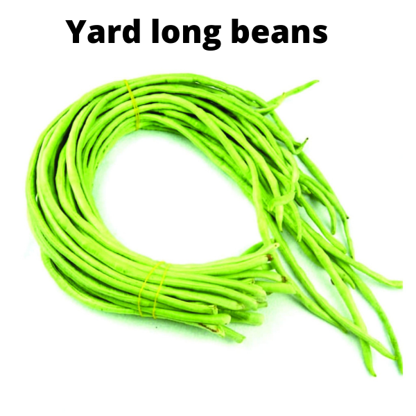 Beans Seeds Bundle