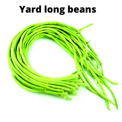 Beans Seeds Bundle