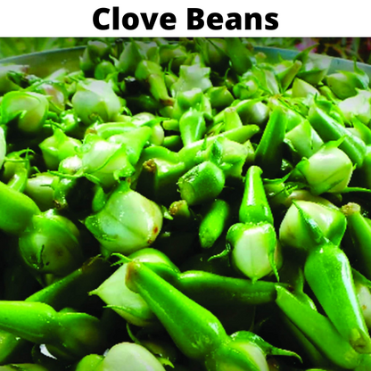 Beans Seeds Bundle