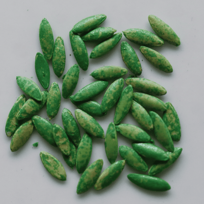 Organic Green Salad Cucumber Seeds - Open Pollinated