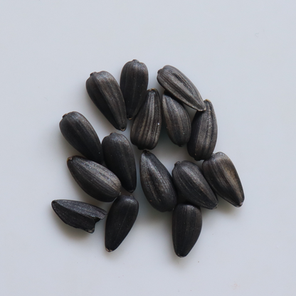 Organic Sunflower Seeds - Hybrid