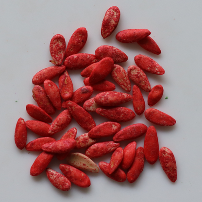 Organic Sambar Cucumber Seeds - Open Pollinated