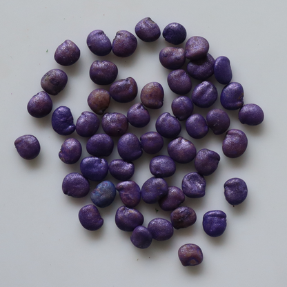 Organic Cluster Bean Seeds - Open Pollinated