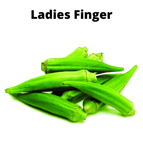 Essential Vegetable Seeds Bundle