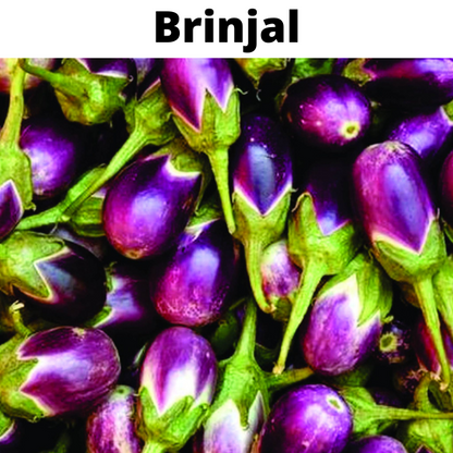 Easy To Grow Vegetable Plants Seeds Bundle