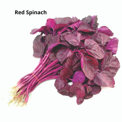 Pack of 6 Types of Spinach Seeds
