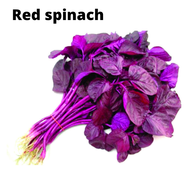 Easy To Grow Vegetable Plants Seeds Bundle