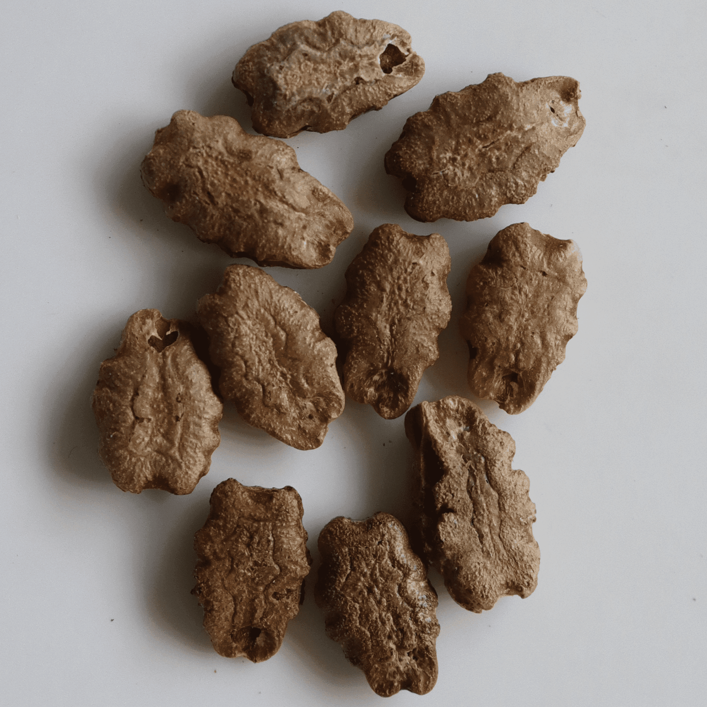 Organic Snake Gourd Seeds - Open Pollinated