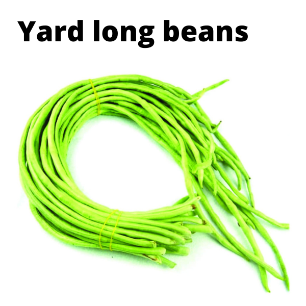 Easy To Grow Vegetable Plants Seeds Bundle