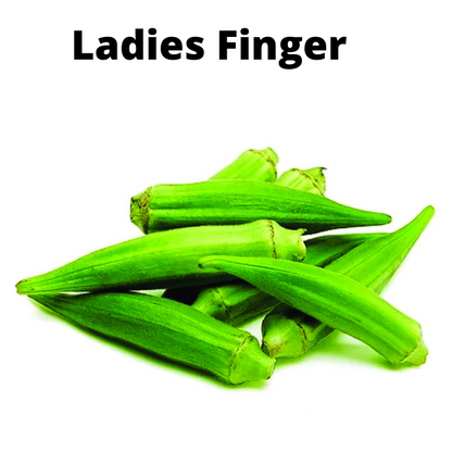 Easy To Grow Vegetable Plants Seeds Bundle