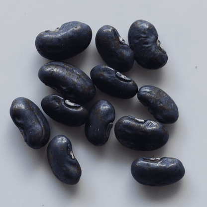 Organic Yard Long Beans Seeds - Open Pollinated