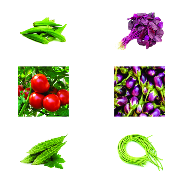 Easy To Grow Vegetable Plants Seeds Bundle