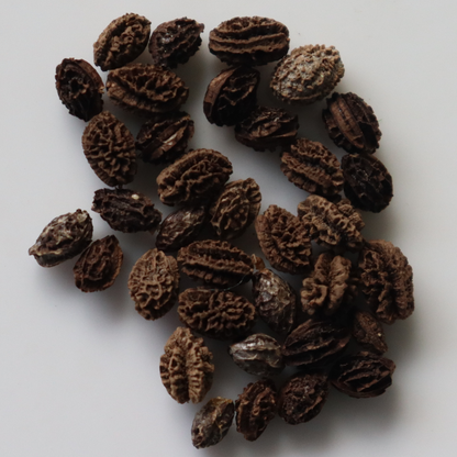 Organic Desi Papaya Seeds - Open Pollinated