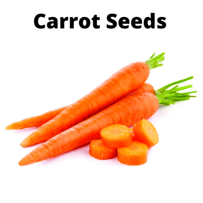 Exotic Vegetable Seeds Bundle