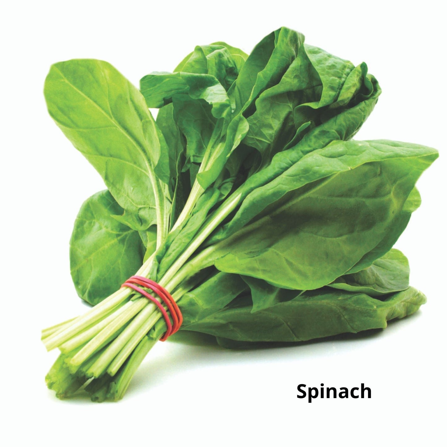 Pack of 6 Types of Spinach Seeds