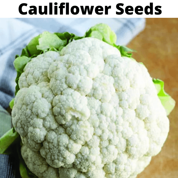 Exotic Vegetable Seeds Bundle