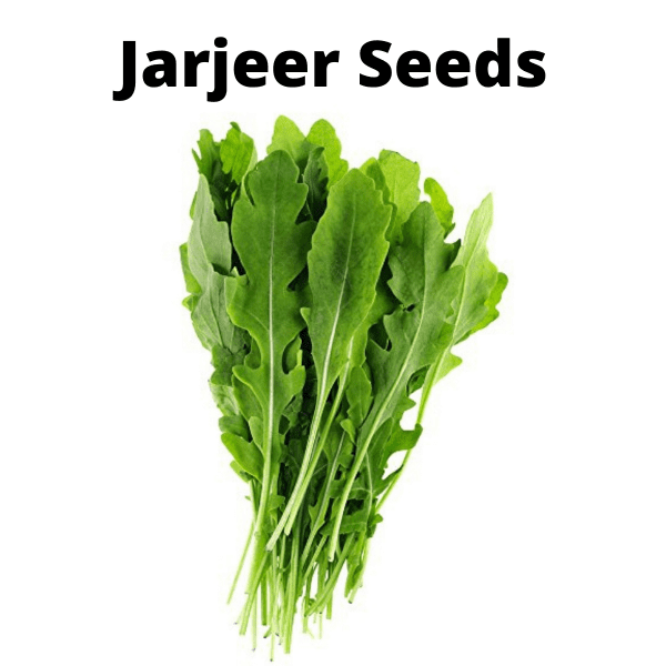 Exotic Vegetable Seeds Bundle