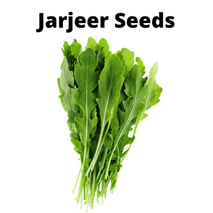 Exotic Vegetable Seeds Bundle