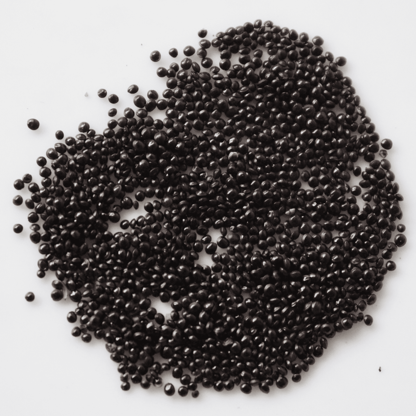 Organic Reshmi Amaranthus Seeds - Open Pollinated