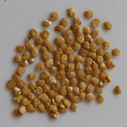 Organic Purple Round Brinjal Seeds - Open Pollinated