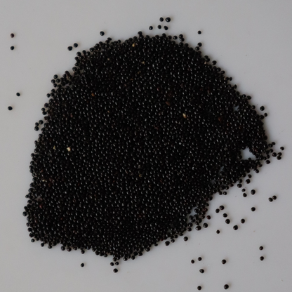 Organic Milk Spinach Seeds Open-Pollinated