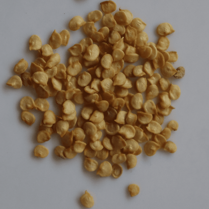 Organic Green Chilli Seeds - Open Pollinated