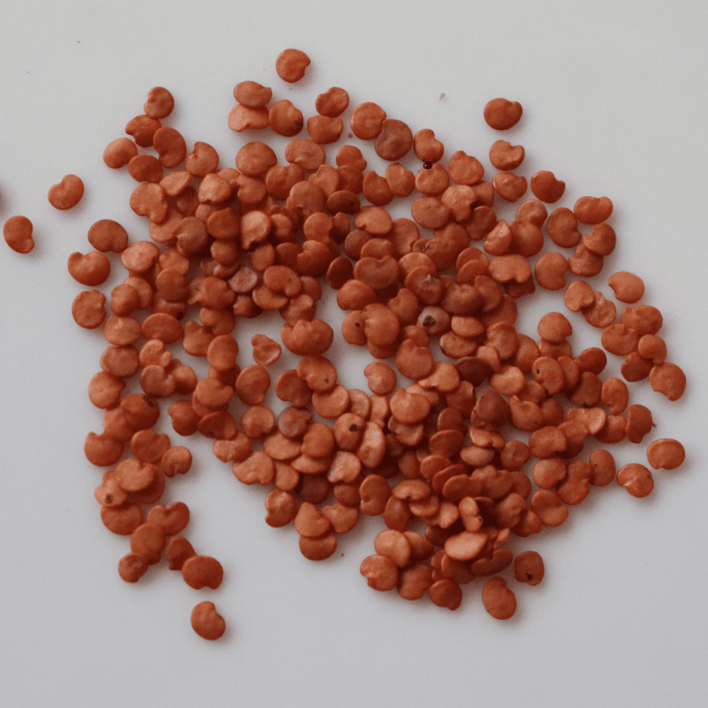 Organic Green Brinjal Seeds - Open Pollinated