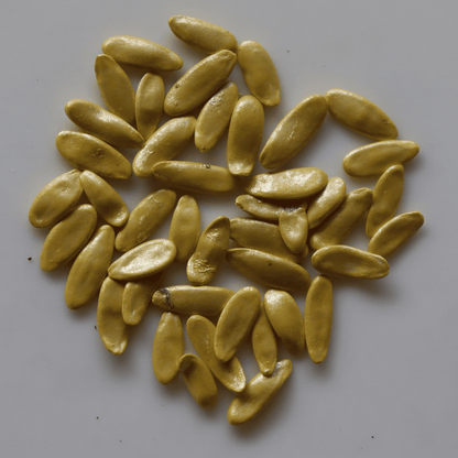 Organic Long Melon Seeds - Open Pollinated