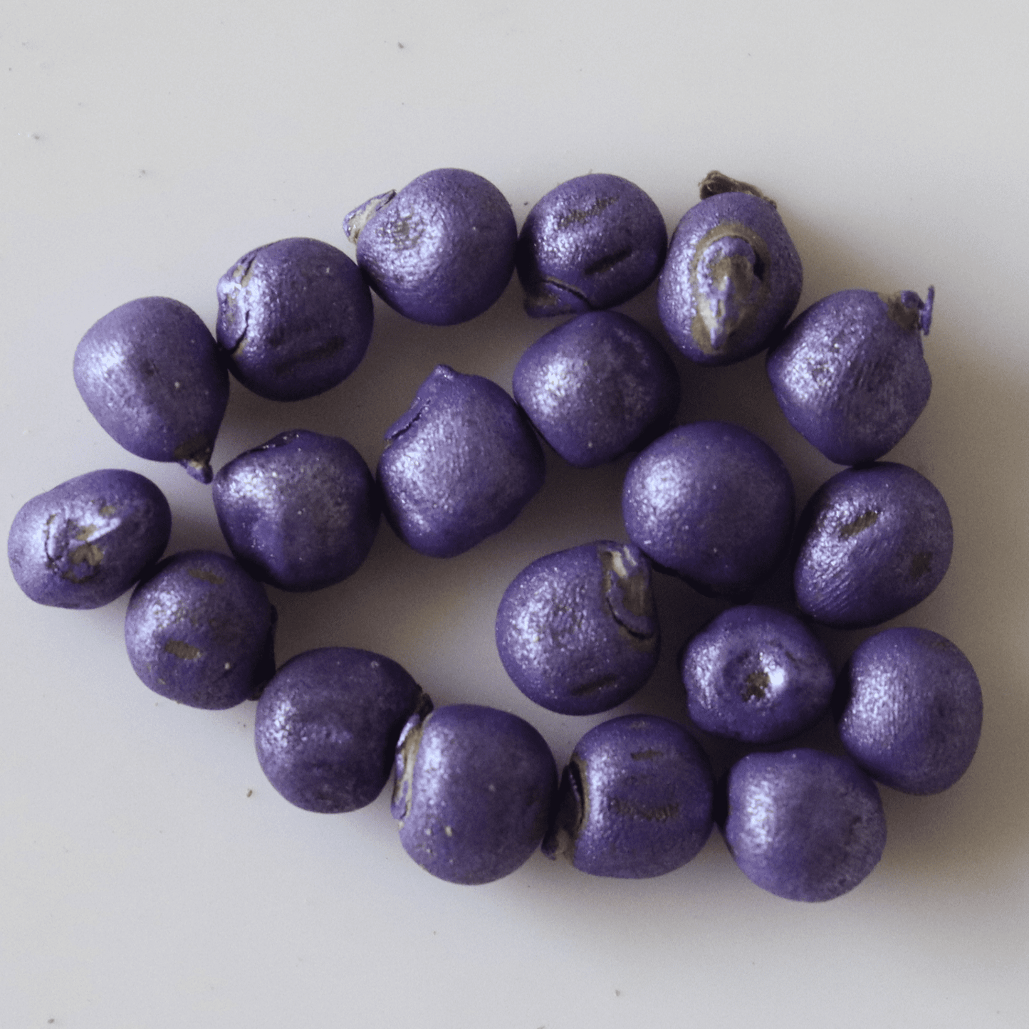 Organic Elephant Tusk Ladies Finger Seeds - Open Pollinated