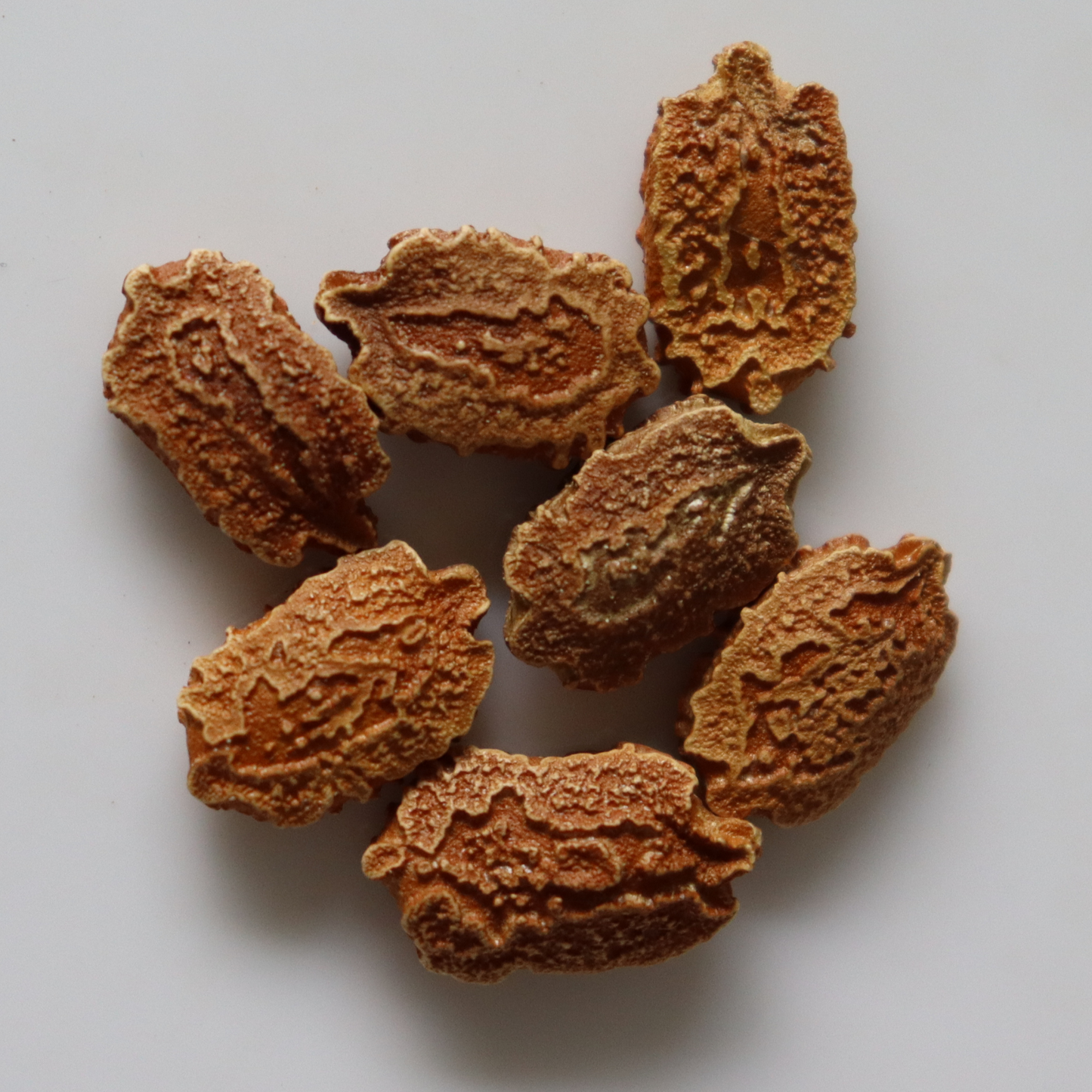 Organic White Bitter Gourd Seeds - Open Pollinated