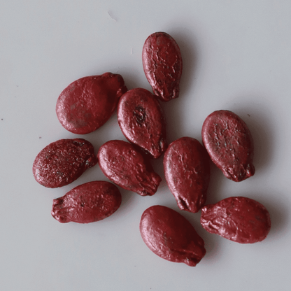 Organic Watermelon Seeds - तरबूज के बीज