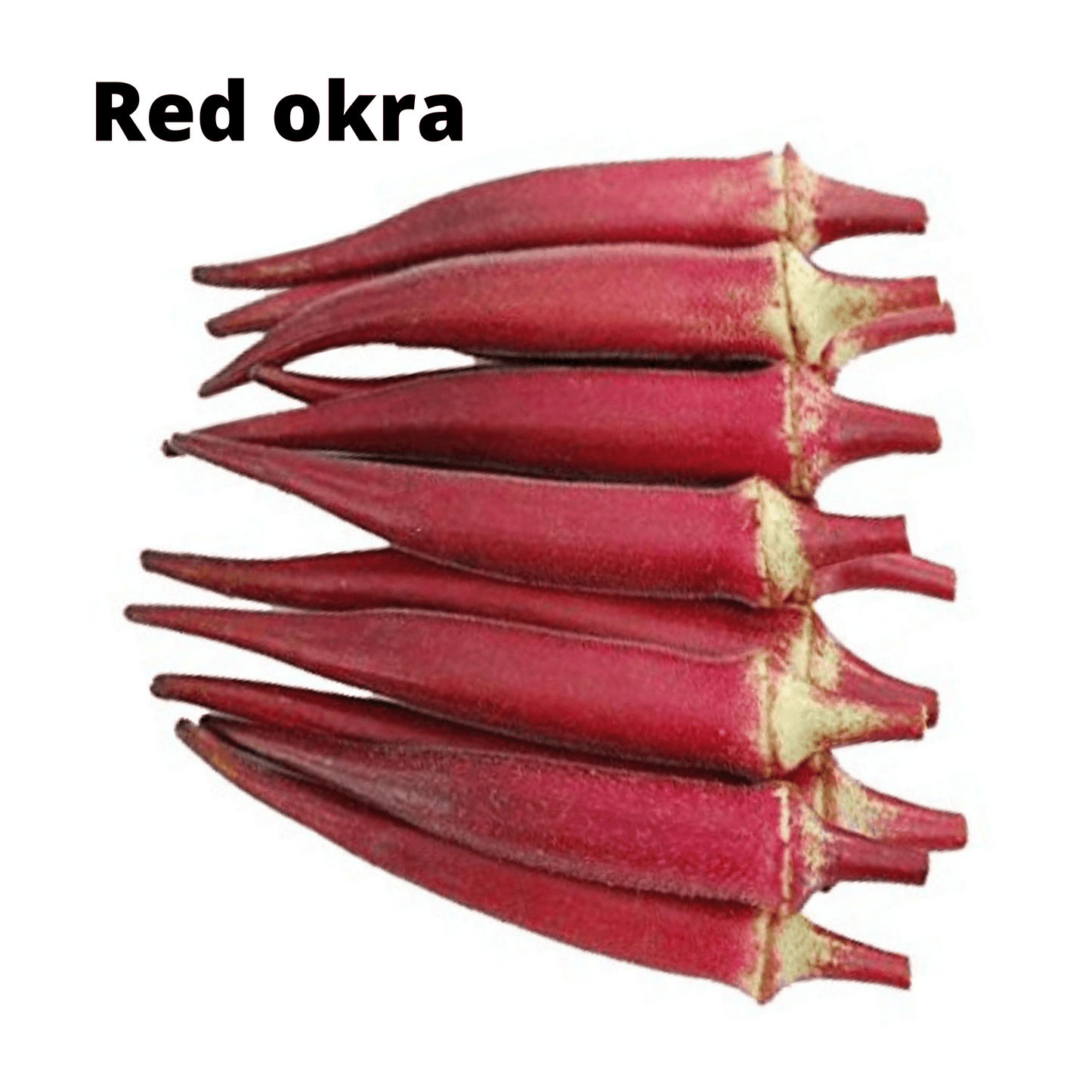 Top Selling Seeds Bundle