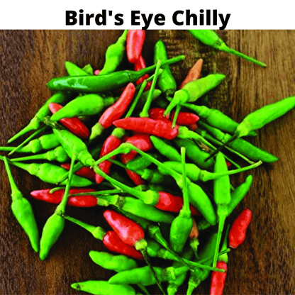 Top Selling Seeds Bundle