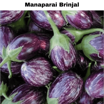 Top Selling Seeds Bundle