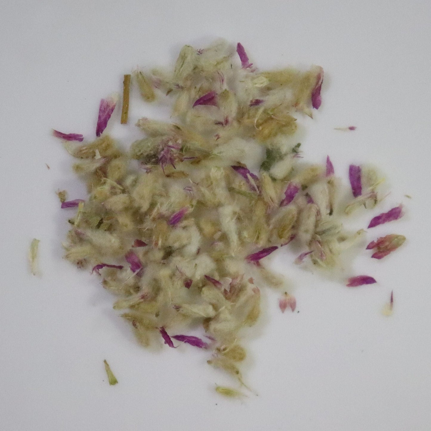 Globe Amaranthus Mix Seeds