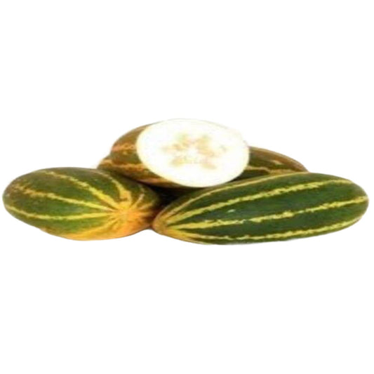 Organic Sambar Cucumber Seeds - Open Pollinated