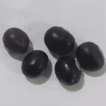 Organic Purple Winged Beans Seeds - Open Pollinated
